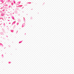 Light Sakura Vector Transparent Background.
