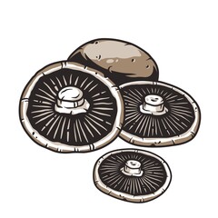 Mushroom picking of champignon. White button mushrooms. Vegetarian fungus cremini for food. Nature fungi portobello for healthy nutrition