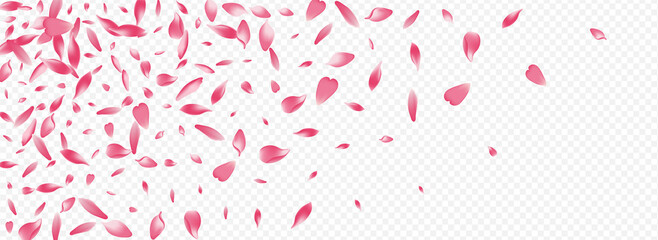 White Blooming Vector Panoramic Transparent