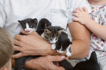 a man and children hold kittens