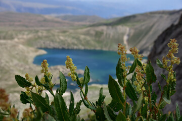 Upper Arashan lake view from the about at an altitude of 3000 meters above sea level. Namangan region, Uzbekistan