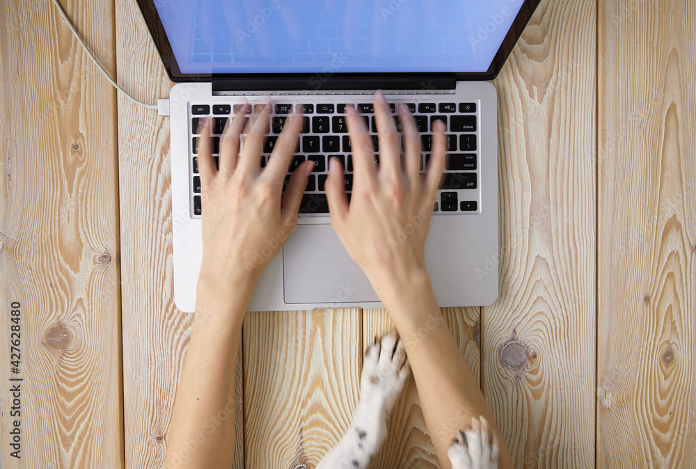 Poster image of woman’s hands typing fast on laptop keyboard with dog’s paws on same tabletop. view from ab