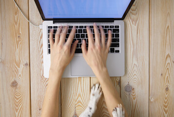 Obraz na płótnie Canvas Image of woman’s hands typing fast on laptop keyboard with dog’s paws on same tabletop. View from above. Remote work from home concept image.