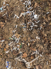 Cigarette butts on the ground. Pollution of nature.