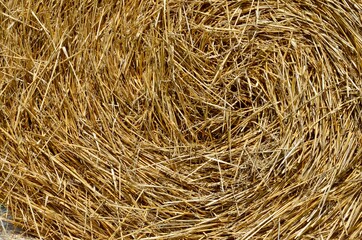 Closeup of a hay bale background