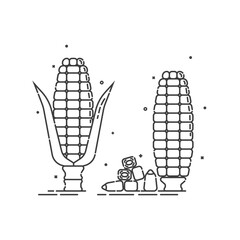 Corn on white background. Organic food. Healthful product. Young ear of maize with leaves and without. Healthy eating. Vegetarian foodstuff. Flat line art icon. Two view isolated object