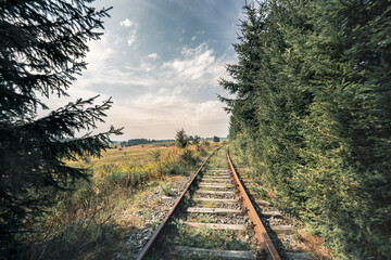 Obraz premium railway in the forest