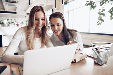 Two young female colleagues discussing business project together in office