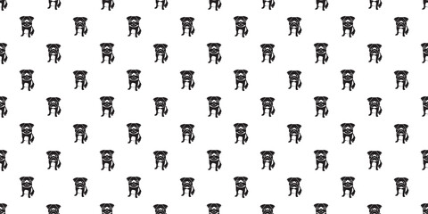 Dog seamless pattern, Pug on white background.	