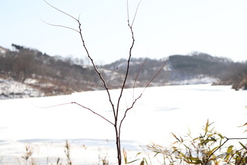 겨울 산의 공기