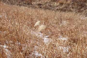 겨울 산의 공기