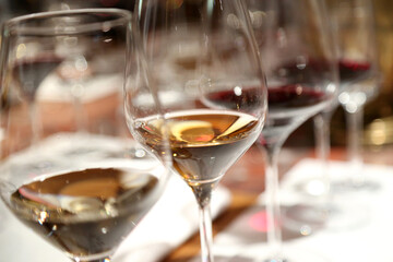 A glass of wines for Degustation.