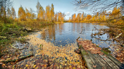 Autumn on the lake in the forest