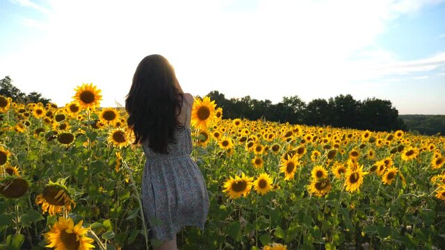 Inspired girl standing among big sunflowers field and raising hands. Woman enjoying freedom or beautiful nature. Scenic landscape with bright sunlight at background. Outdoor leisure concept. Back view