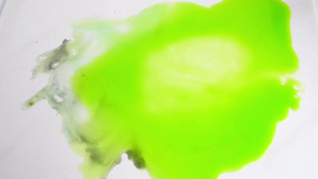 abstract spots of green paint spread over a white surface, drawing with watercolor, alcohol ink, background for the designer