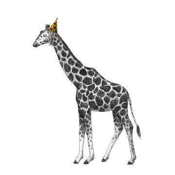 Beautiful stock illustration with cute hand drawn birthday giraffe on the party.