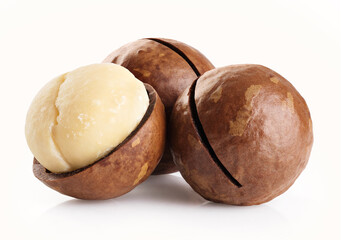 Macadamia nuts isolated on a white background.