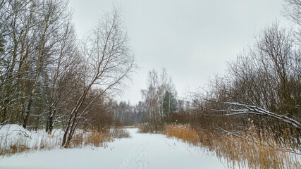 Lake in winter time