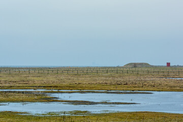 Lomma beach meadows, Malmo, southern Sweden. Blue sky and ocean in the background