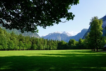Fototapeta na wymiar Green meadow in the Bavarian Alps in Berchtesgaden