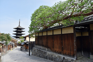 Fototapeta premium 八坂の塔 京都市東山区
