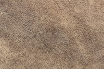 high quality leather texture