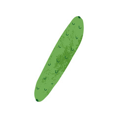 Cucumber illustration with texture in retro style . Vector hand-drawn isolated illustration.