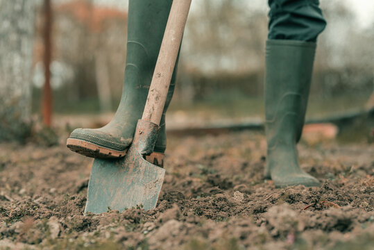 Farmer in rubber boots using spade gardening equipment in garden - Powered by Adobe
