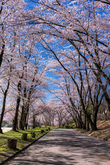 長野県・春の茅野市運動公園の風景