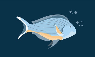 Tropical fish underwater, isolated object on a dark background. Marine design element. Cartoon-style illustration. EPS 10.