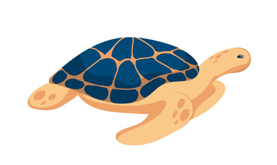 A sea turtle with a large colored shell swims underwater. A graphic element of summer or marine design. Vector illustration in cartoon style. Isolated object on a white background.