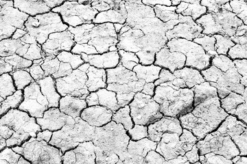 Texture of arid and desert land