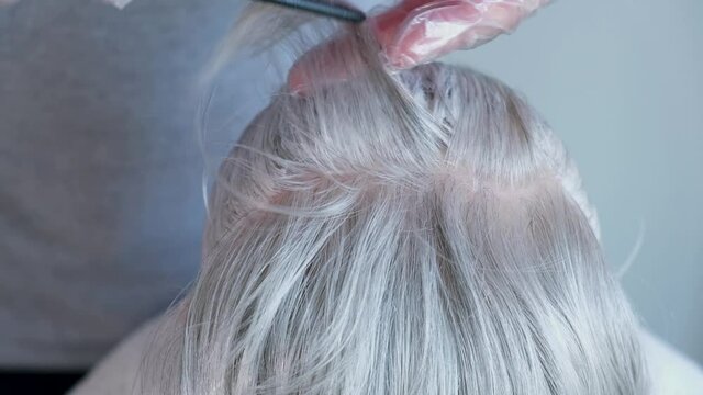 Dyeing gray hair of a middle-aged woman. The master paints over the gray hair of an elderly client. Hair coloring with a comb and brush. Close-up.