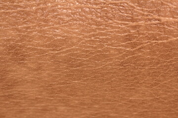 brown leather background