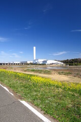 満開の菜の花咲く江戸川土手のサイクリング道路とクリーンセンター風景