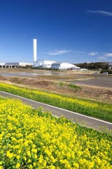満開の菜の花咲く江戸川土手のサイクリング道路とクリーンセンター風景