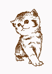 Sepia vector illustration of small kitten, pet