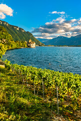 Vineyards and Chillon Castle on Lake Geneva in Switzerland