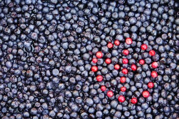 What can be expressed by blueberry and cranberry? For example, a hippie character.