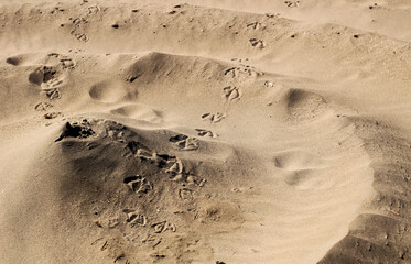 Sand texture and spiral shaped dune on the beach