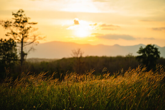 sunset in the field © ณัฐวุฒิ เงินสันเทียะ