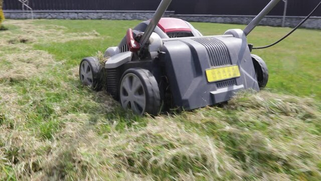spring aeration of the lawn on a sunny day