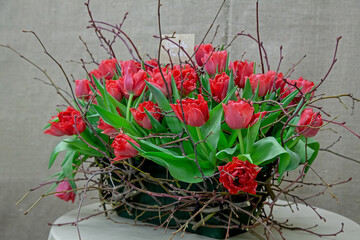 Red tulips close-up in a bouquet in a wooden basket on the table. Spring flowers as a gift for a woman on her birthday and anniversary. A beautiful juicy April bouquet in a bucket at the breeders.