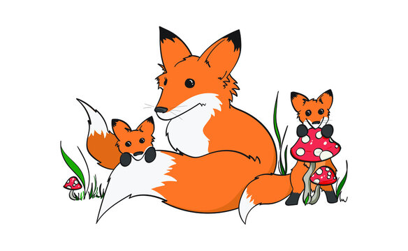 Red Fox Mother with Mushrooms