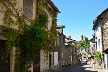 Fototapeta na wymiar The narrow and picturesque alleys of Najac. Old stone houses decorated with flowers. South France. 