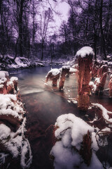 a narrow forest river with flowing water between snags and stumps with a long exposure at evening twilight. vertical winter landscape