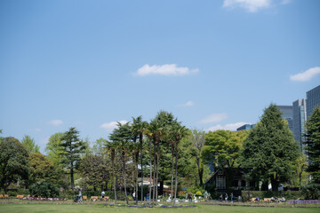 Fototapeta na wymiar 青空の公園