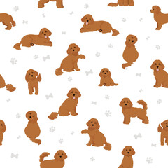 Cavapoo mix breed seamless pattern. Different poses, coat colors set.