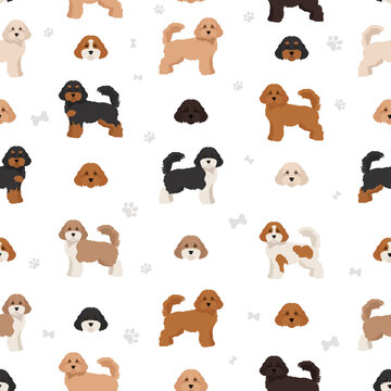Cavapoo mix breed seamless pattern. Different poses, coat colors set.