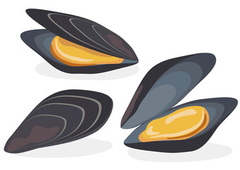 貝類／ムール貝